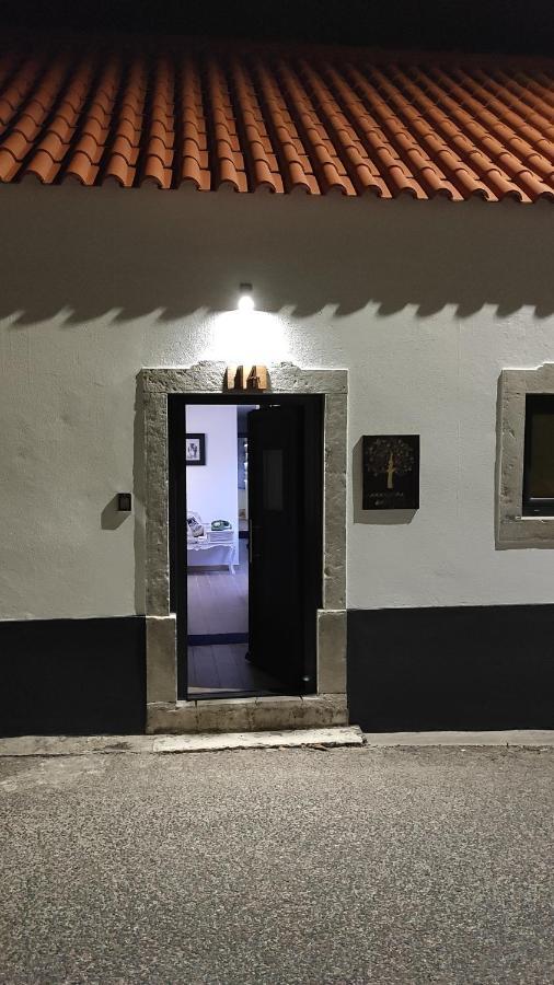 Laranjeira Loiras Óbidos